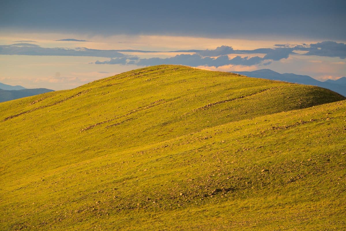 A grassy mountainous area above treeline.