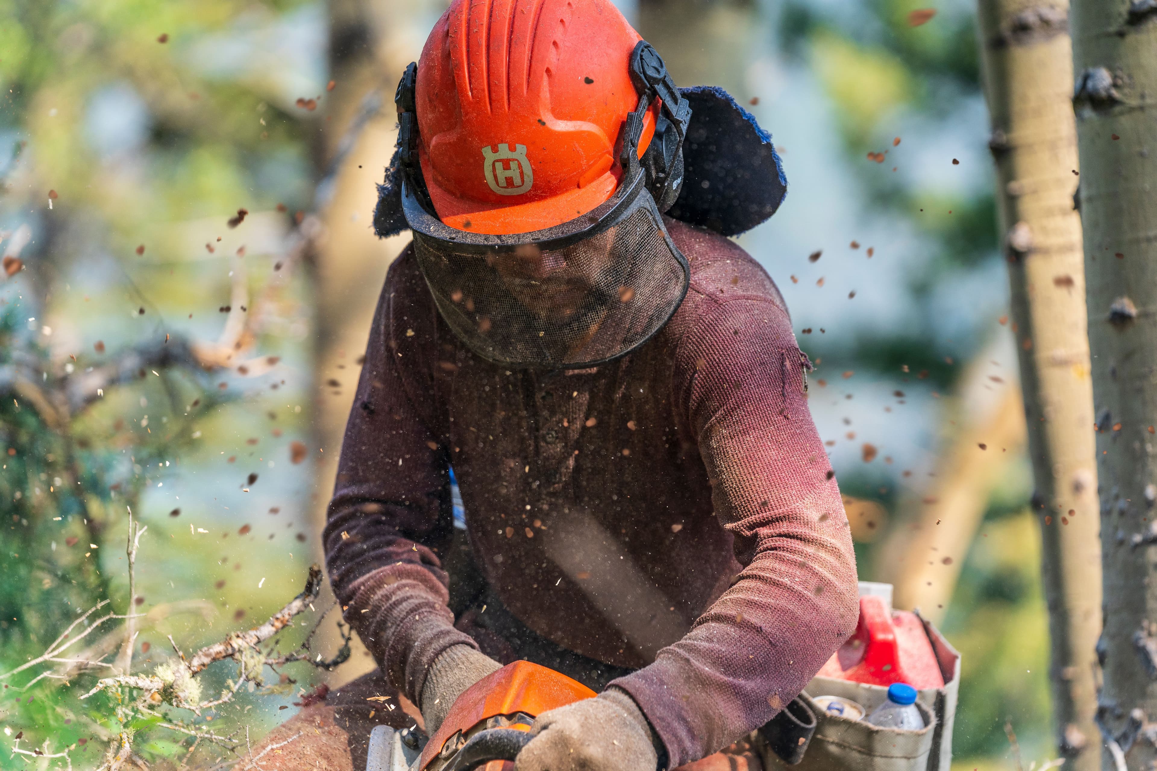 A tree trimmer maintaining woodland at Taos Ski Valley.