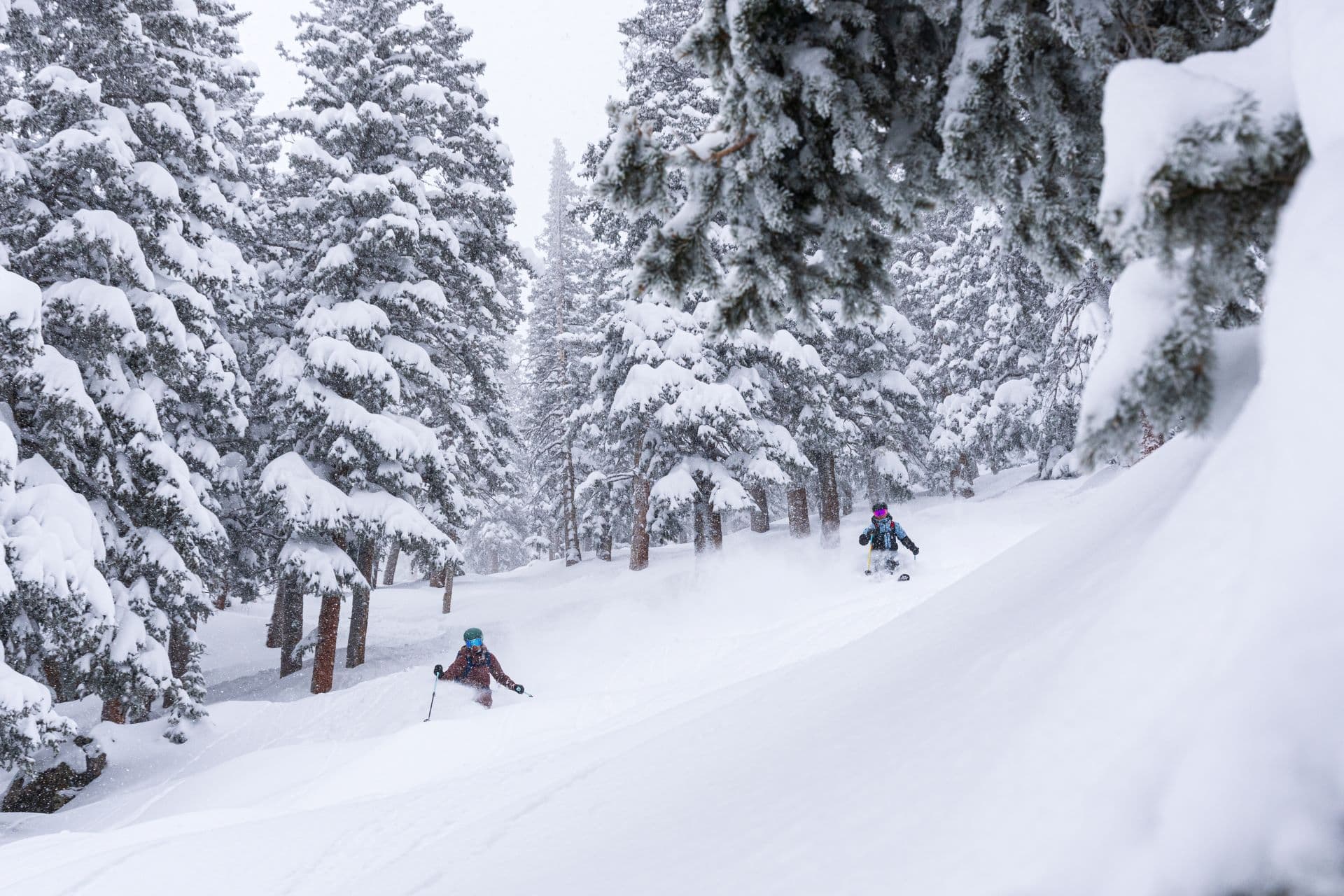 Why the Latest NOAA Outlook Is Good News for Taos