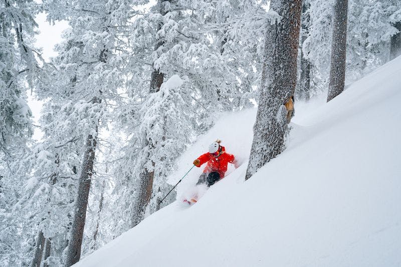 Women skiing in the trees at Taos Ski Valley