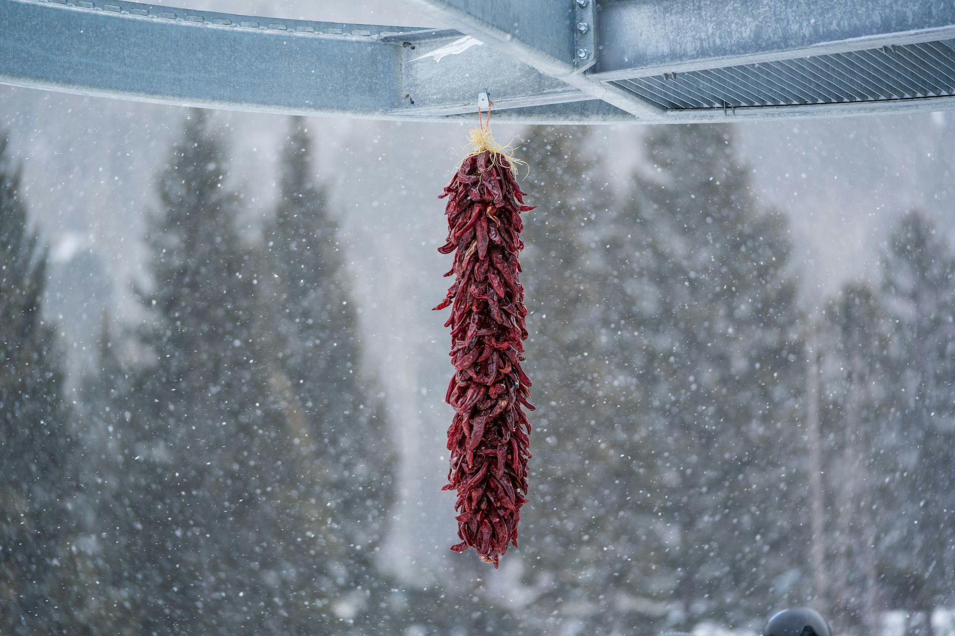 a bushel of dried chilis hangs privately from a ski lift on a snowy day