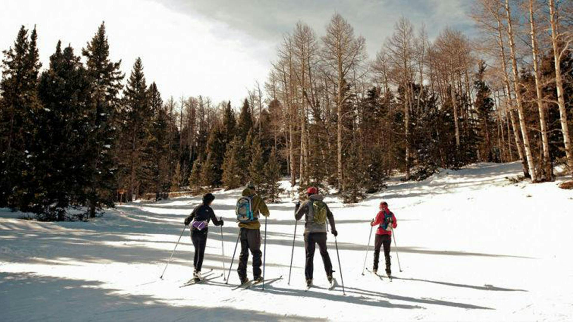 A group of cross country skiers ski through a meadow near Taos Ski Valley