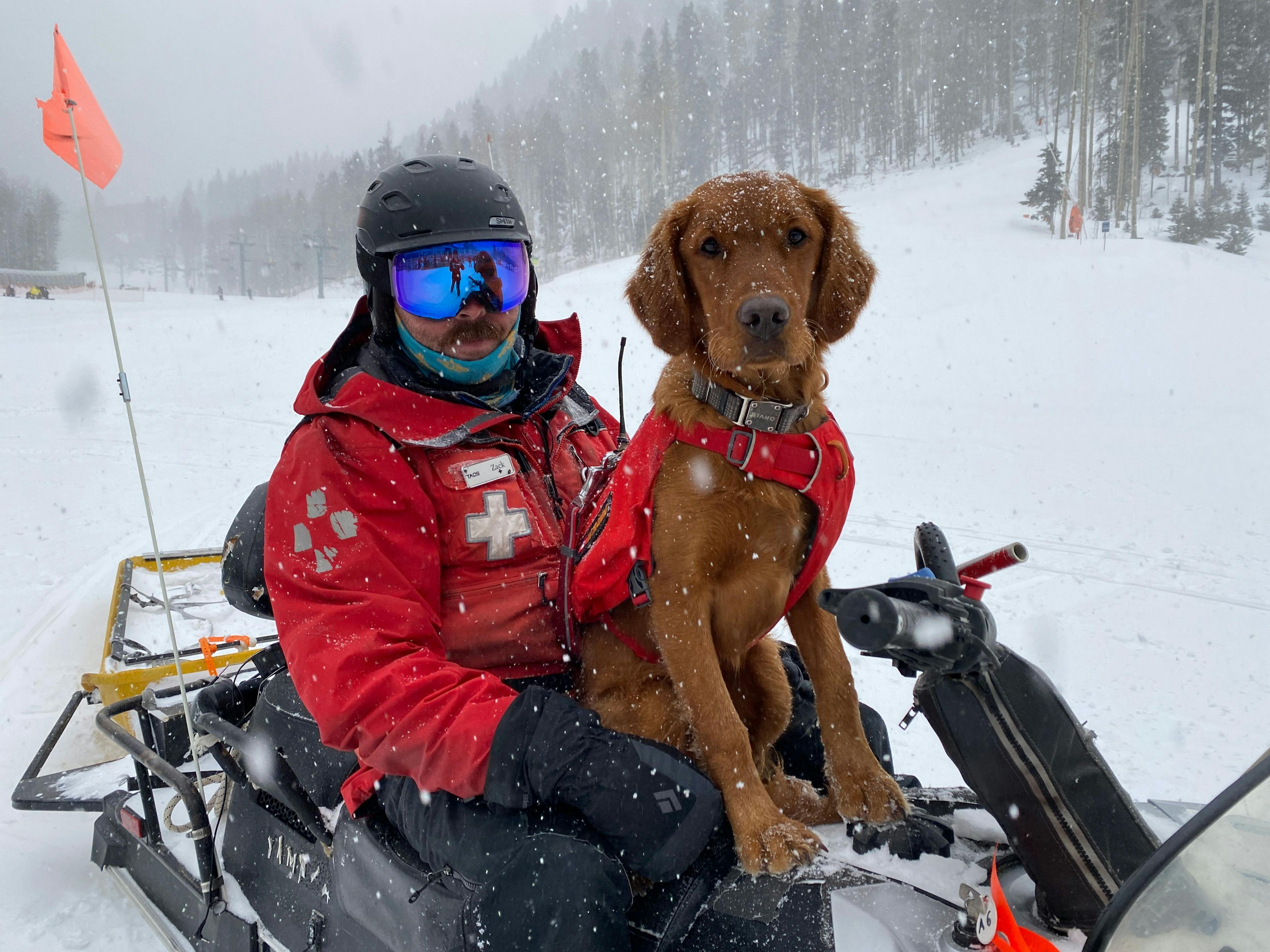 Ski patroller and patrol dog on a snowmobile being super cute