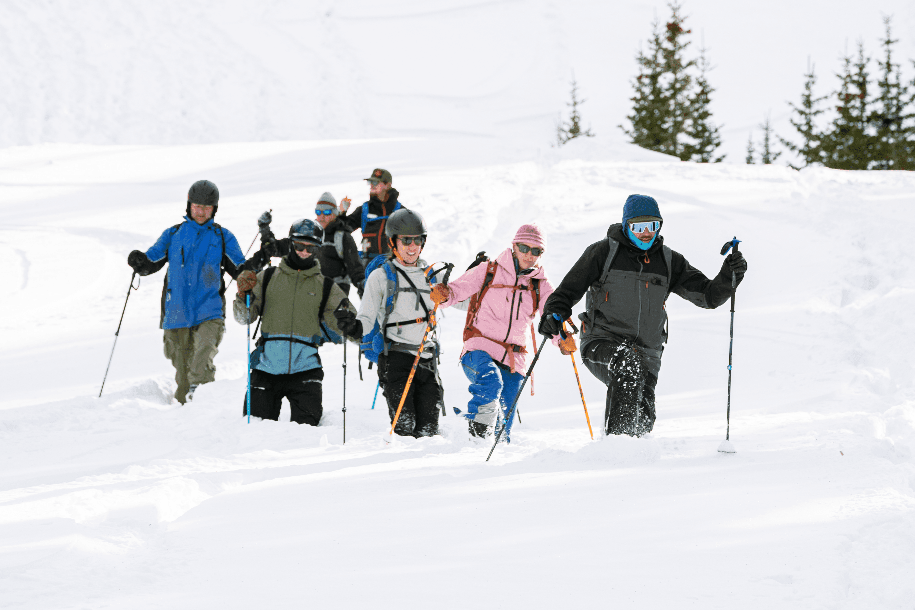 TSV_Email_Banners (69).png